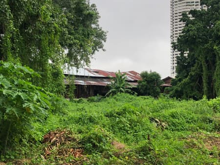 Suan San Pocket Park